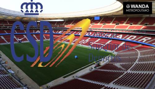 image La seguridad privada debe dotarse de mayores medidas de autoprotección en los estadios de futbol para sus vigilantes