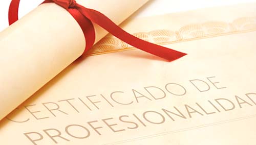 Jornada informativa sobre el proceso de Evaluación y Acreditación de Competencias Profesionales 