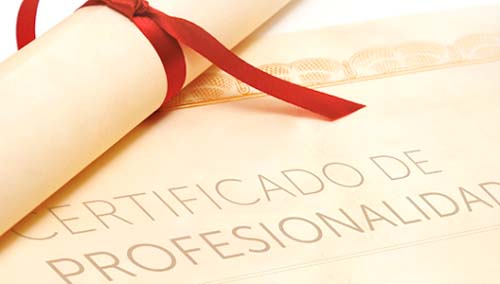 image Jornada informativa sobre el proceso de Evaluación y Acreditación de Competencias Profesionales 
