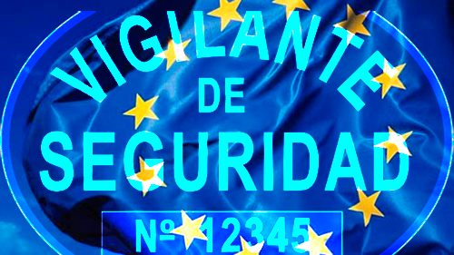 image SEGURIDAD PRIVADA Y SERVICIOS AUXILIARES | REFORZAR EL PAPEL DE LOS COMITES EUROPEOS GARANTIZA MEJORAR LOS DERECHOS DE LOS TRABAJADORES